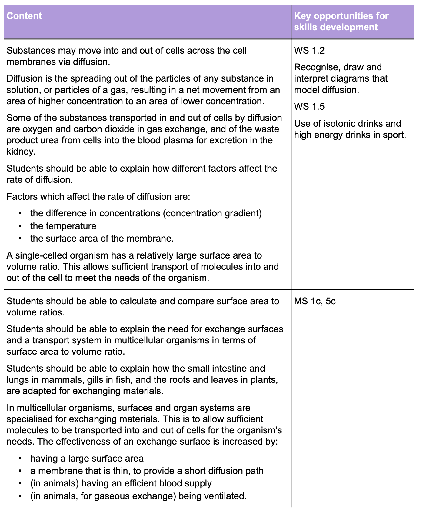 gbatch1-3-1spec